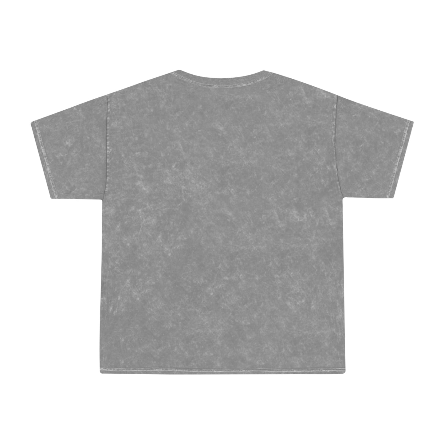 Corrupt Me! Mineral Wash T-Shirt by Easily Corrupted